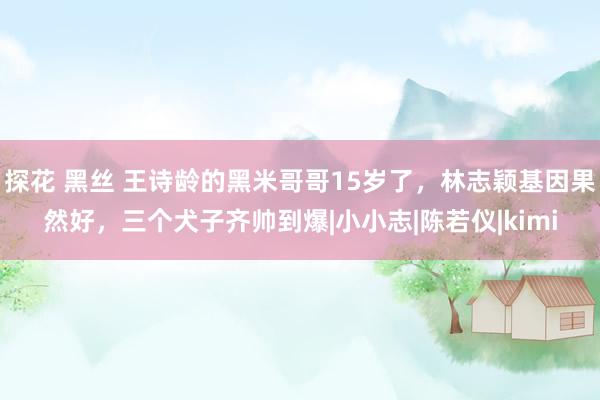 探花 黑丝 王诗龄的黑米哥哥15岁了，林志颖基因果然好，三个犬子齐帅到爆|小小志|陈若仪|kimi