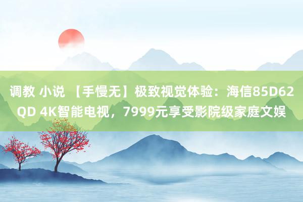 调教 小说 【手慢无】极致视觉体验：海信85D62QD 4K智能电视，7999元享受影院级家庭文娱