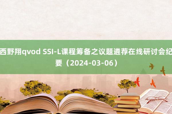 西野翔qvod SSI-L课程筹备之议题遴荐在线研讨会纪要（2024-03-06）