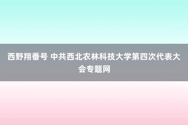西野翔番号 中共西北农林科技大学第四次代表大会专题网