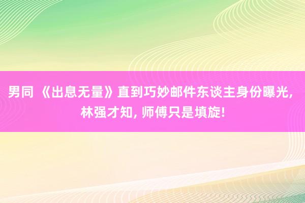 男同 《出息无量》直到巧妙邮件东谈主身份曝光， 林强才知， 师傅只是填旋!