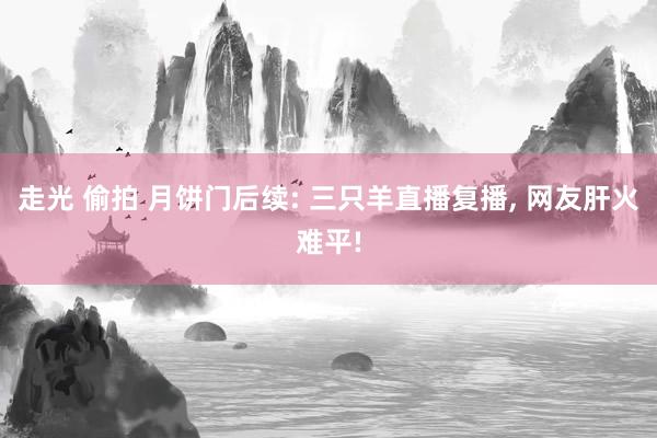 走光 偷拍 月饼门后续: 三只羊直播复播， 网友肝火难平!