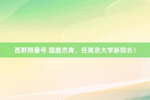 西野翔番号 国度杰青，任南京大学新院长！