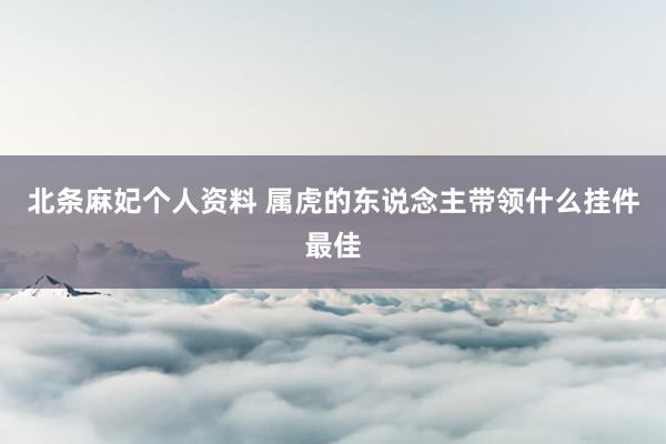 北条麻妃个人资料 属虎的东说念主带领什么挂件最佳