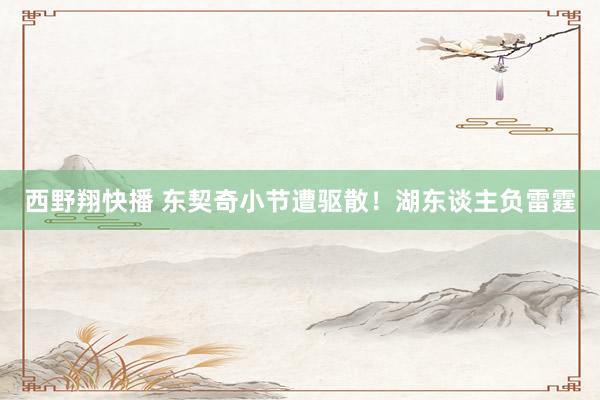 西野翔快播 东契奇小节遭驱散！湖东谈主负雷霆